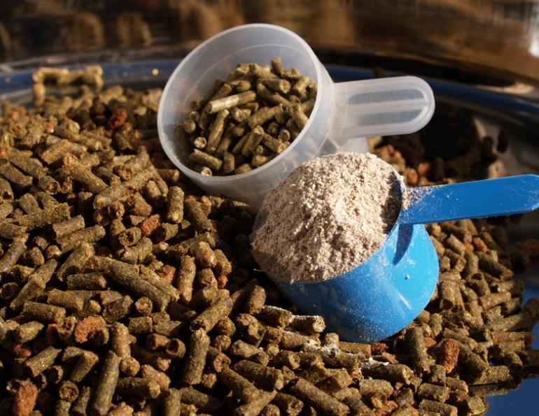 Equine Supplements