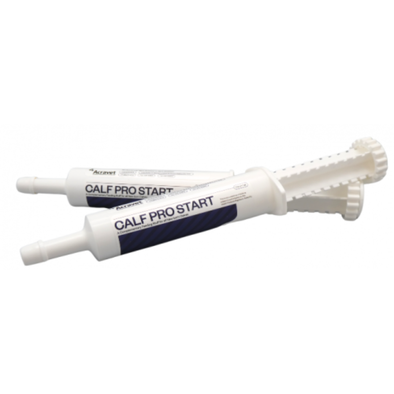 Calf Pro Start Syringe 30 ml (12 in box)