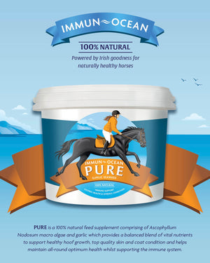 IMMUN-OCEAN PURE Premium Nutrition Supplement for All Horses 4kg