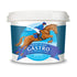 IMMUN-OCEAN GASTRO Premium Digestive Support for Peak Performance 5kg