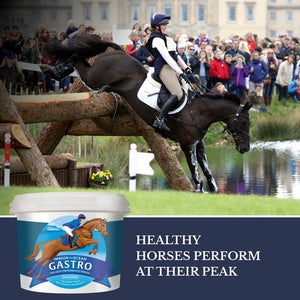 IMMUN-OCEAN GASTRO Premium Digestive Support for Peak Performance 5kg