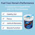 IMMUN-OCEAN GASTRO Premium Digestive Support for Peak Performance 5kg