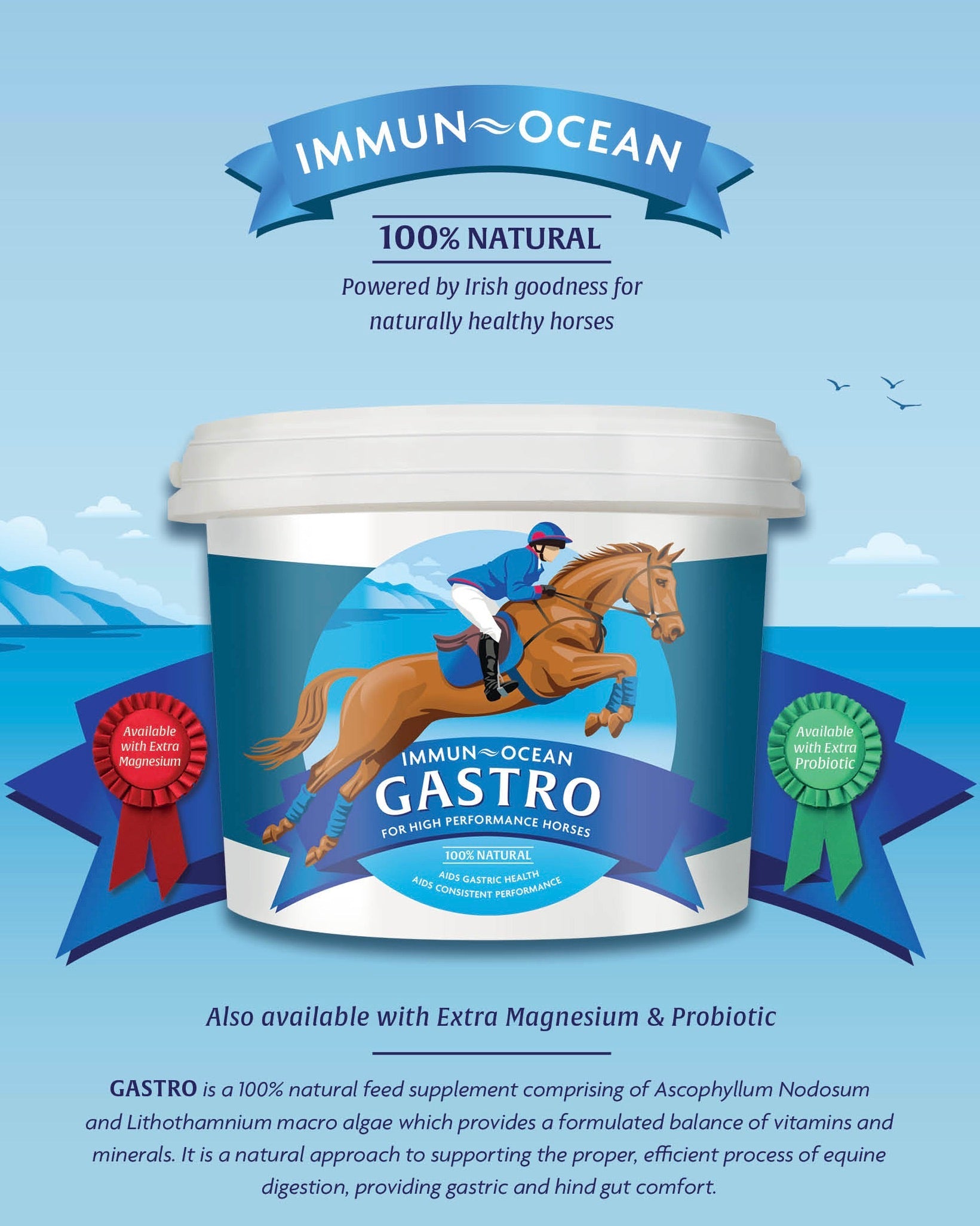IMMUN-OCEAN GASTRO EXTRA MAGNESIUM Premium Digestive Support Supplement for Focus and Calming 5kg