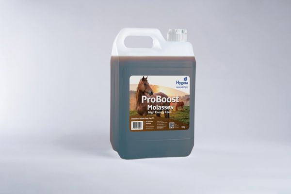 PROBOOST MOLASSES