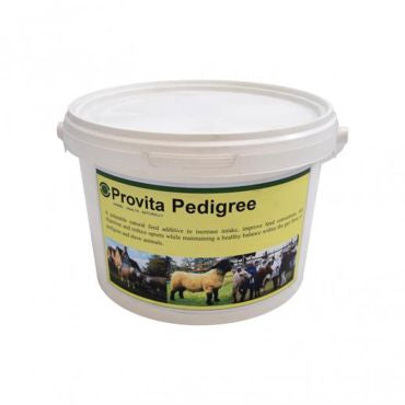 PROVITA PEDIGREE 1KG