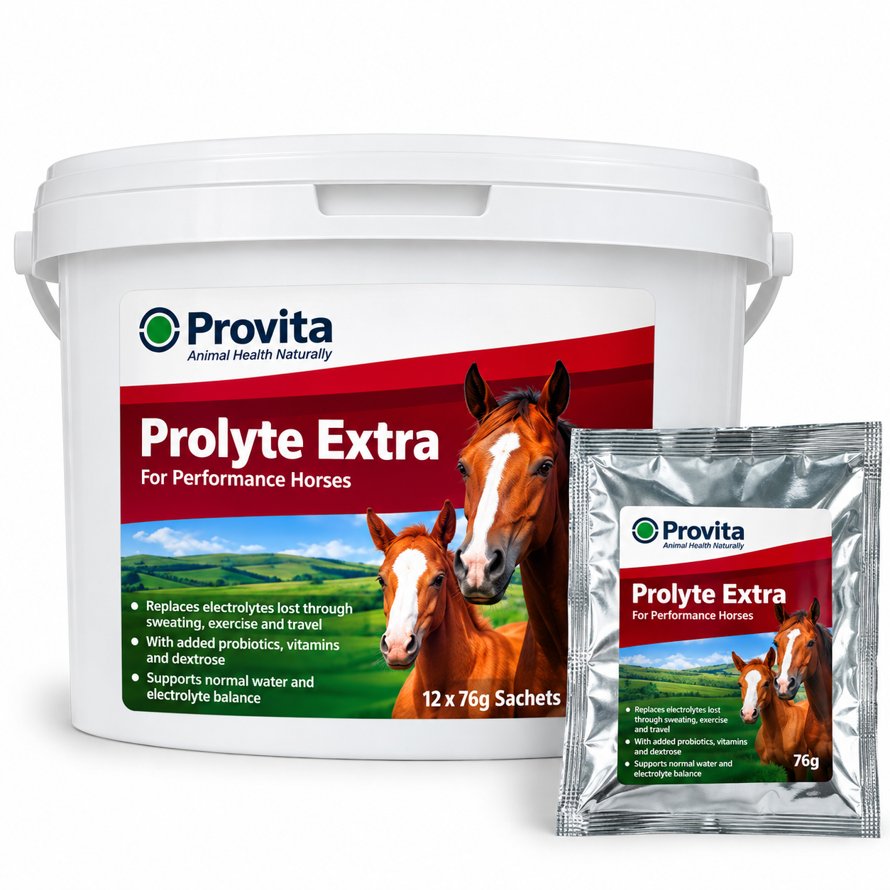 Provita Prolyte Extra 12 Sachets - Whyte Country Supplies