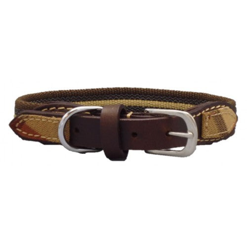 Dog collar 20x40 - Whyte Agri