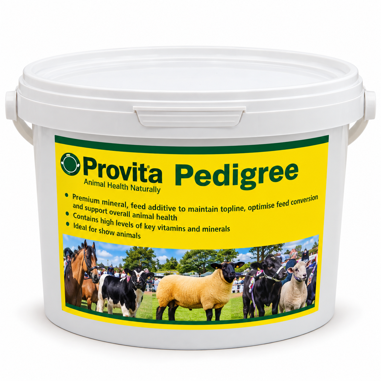 Provita Pedigree 1KG 
