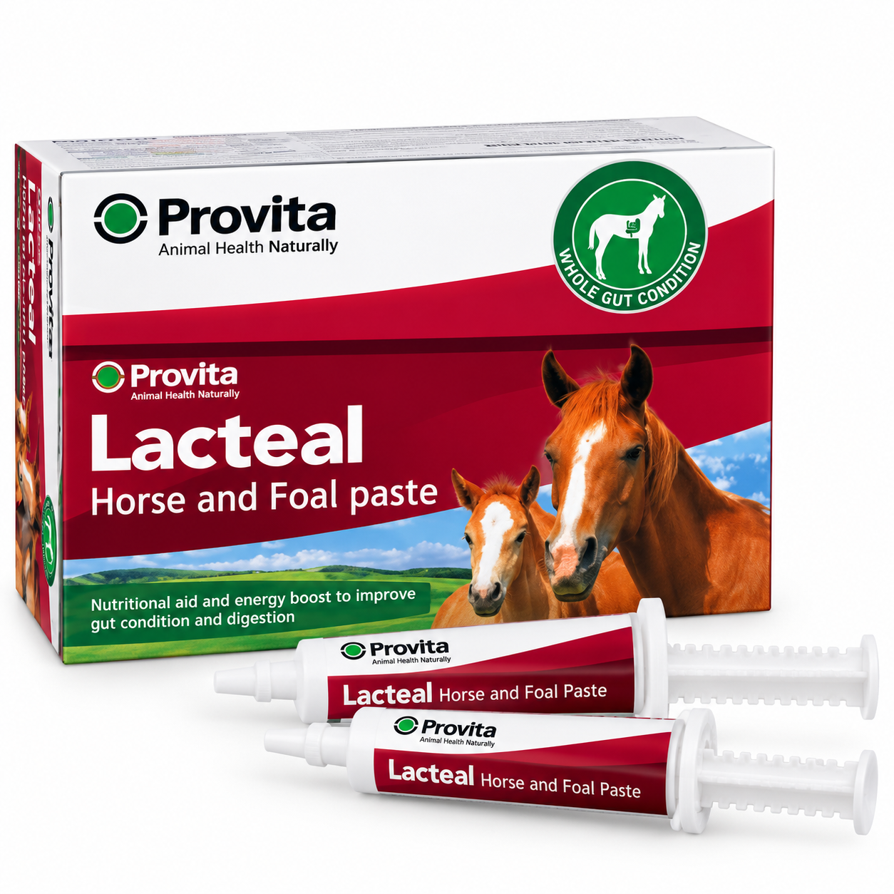 Provita Lacteal Horse and Foal Paste 