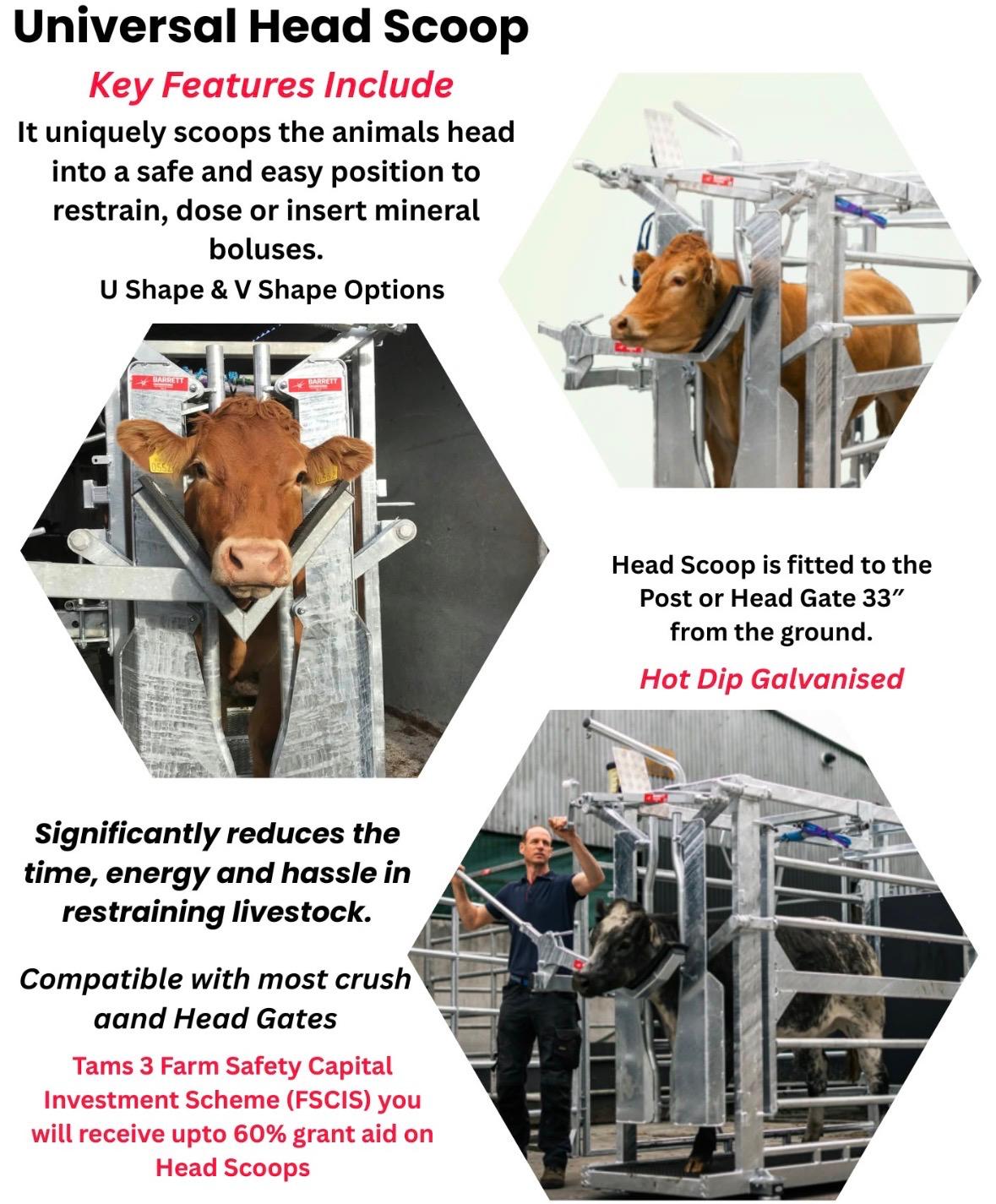 Cattle Head Scoop – Crush Restraint Aid