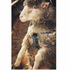 Ram Marking Harness Nylon - Whyte Agri