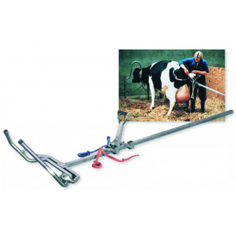 Vink Calving Jack Beef Cattle