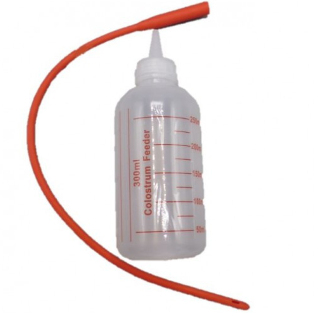 Colostrum Feeder Bottle With Latex Tube