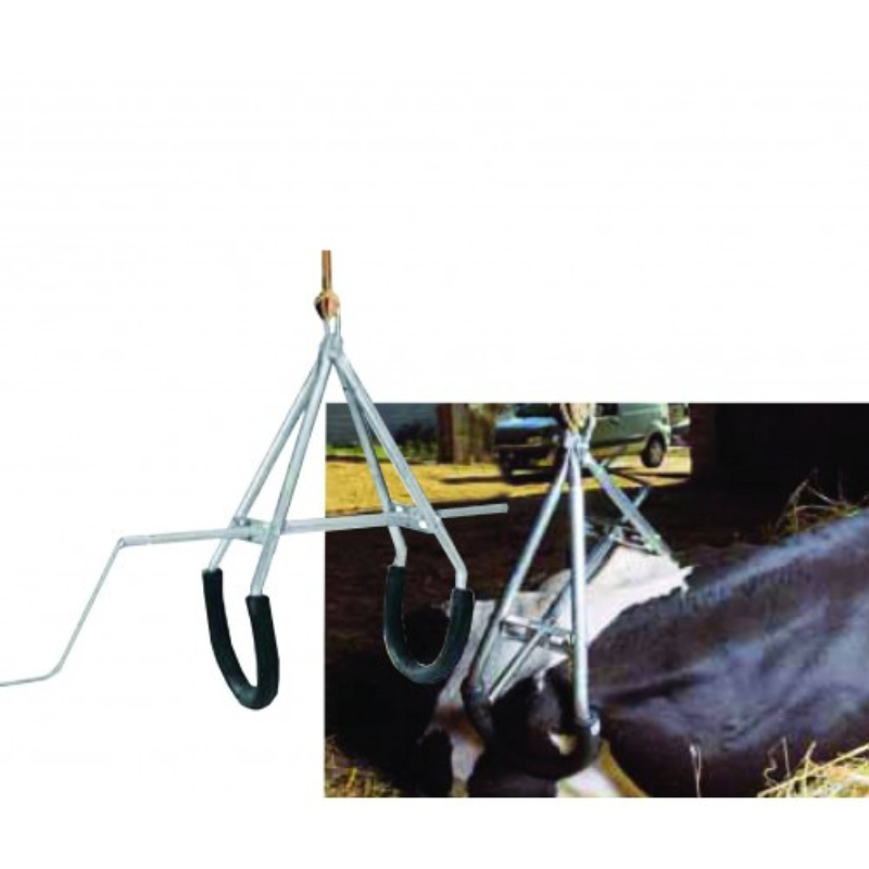Cattle Hoist 900kg