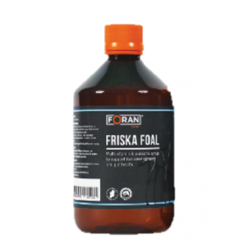 Friska Foal
