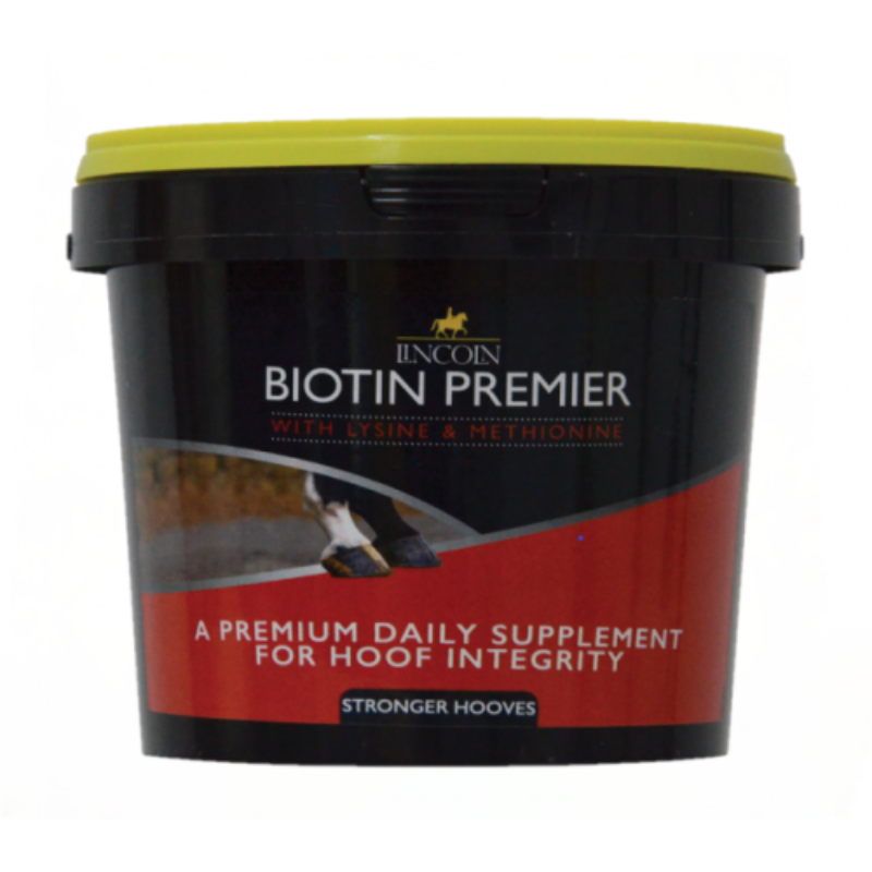 Biotin Premier 600g