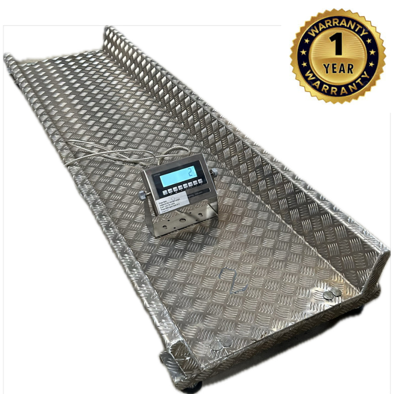 Cattle Scales with Sides