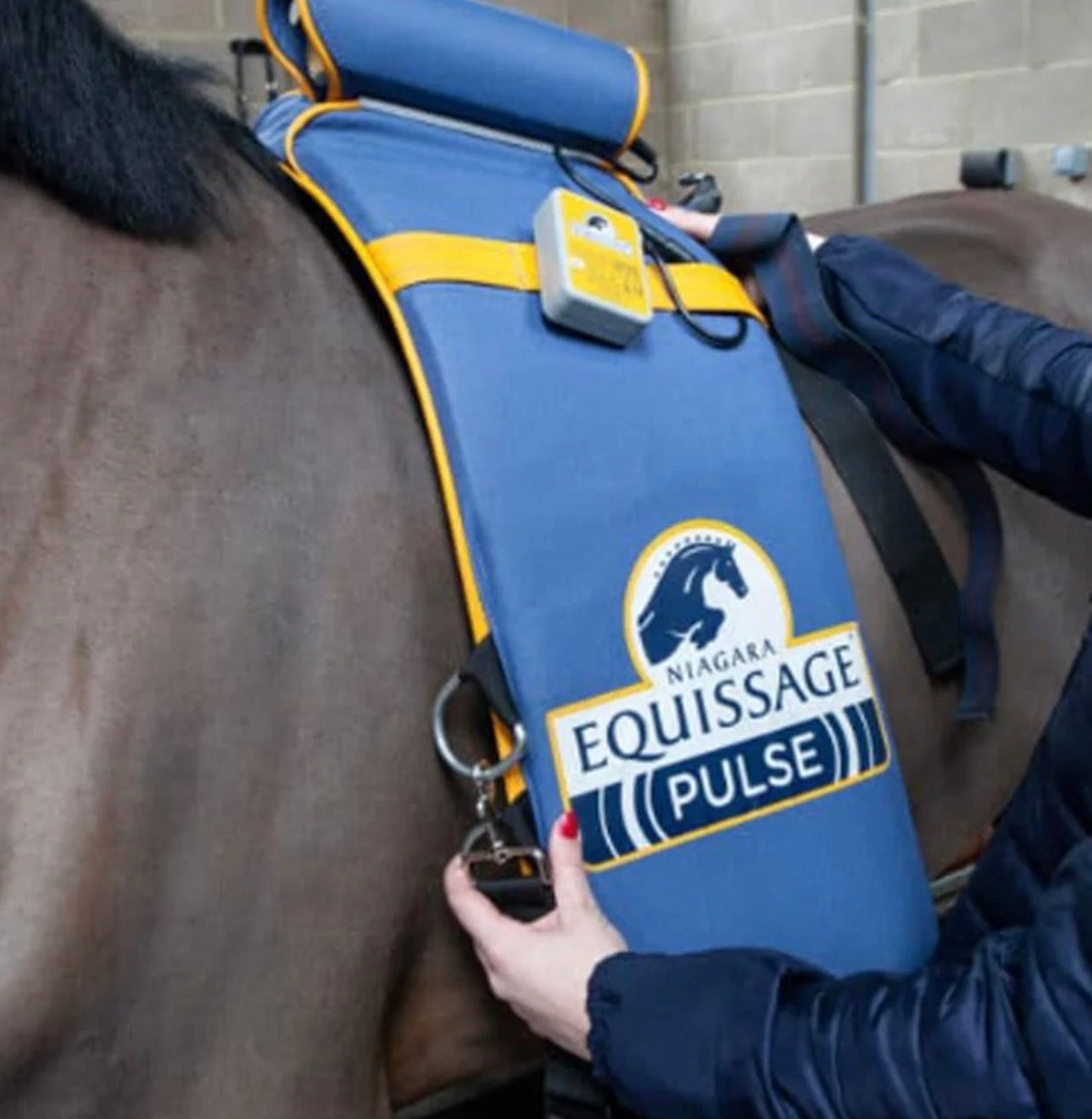 Equissage Pulse Pad