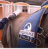 Equissage Pulse Hand Unit