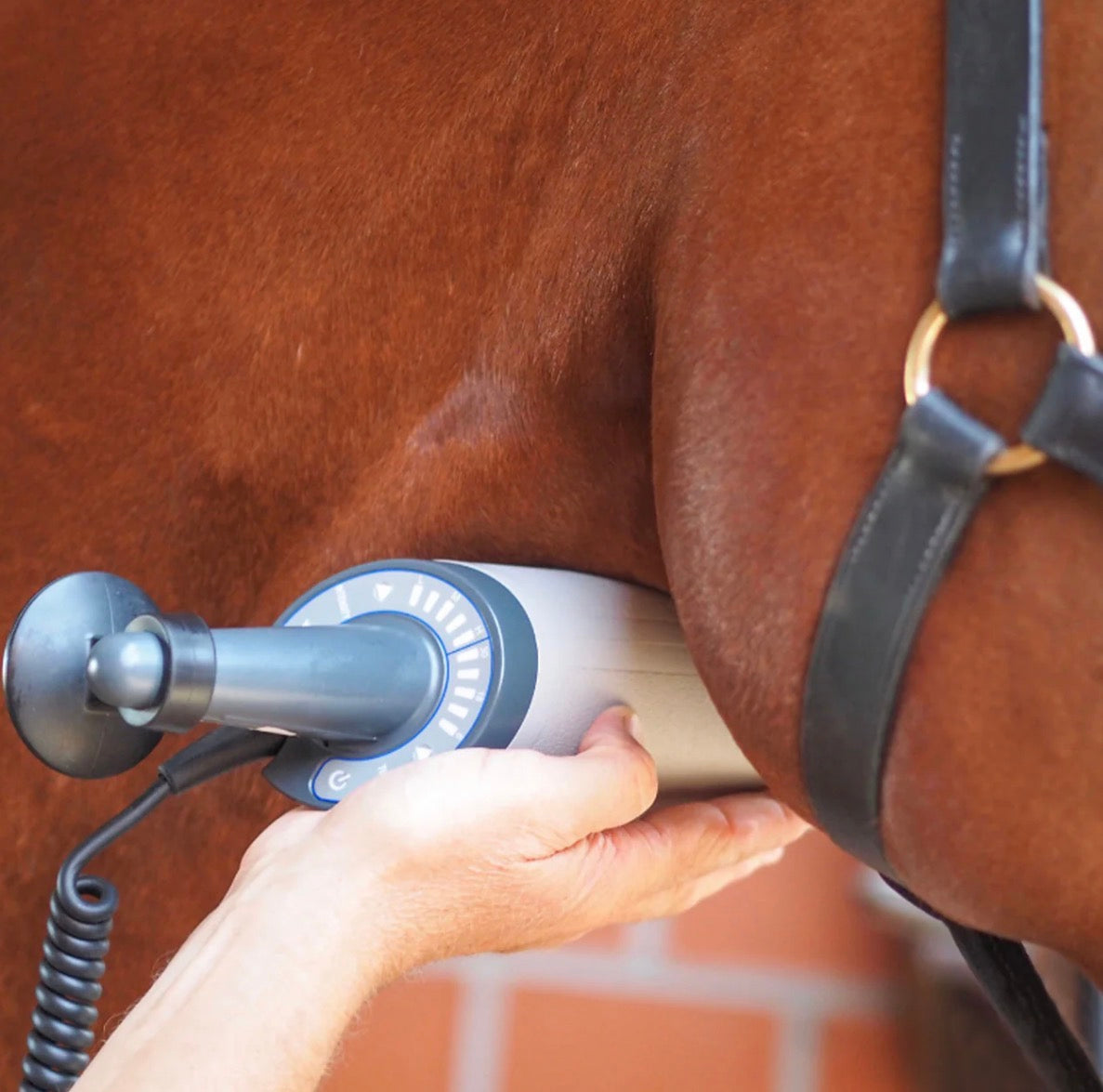 Equissage Pulse Hand Unit