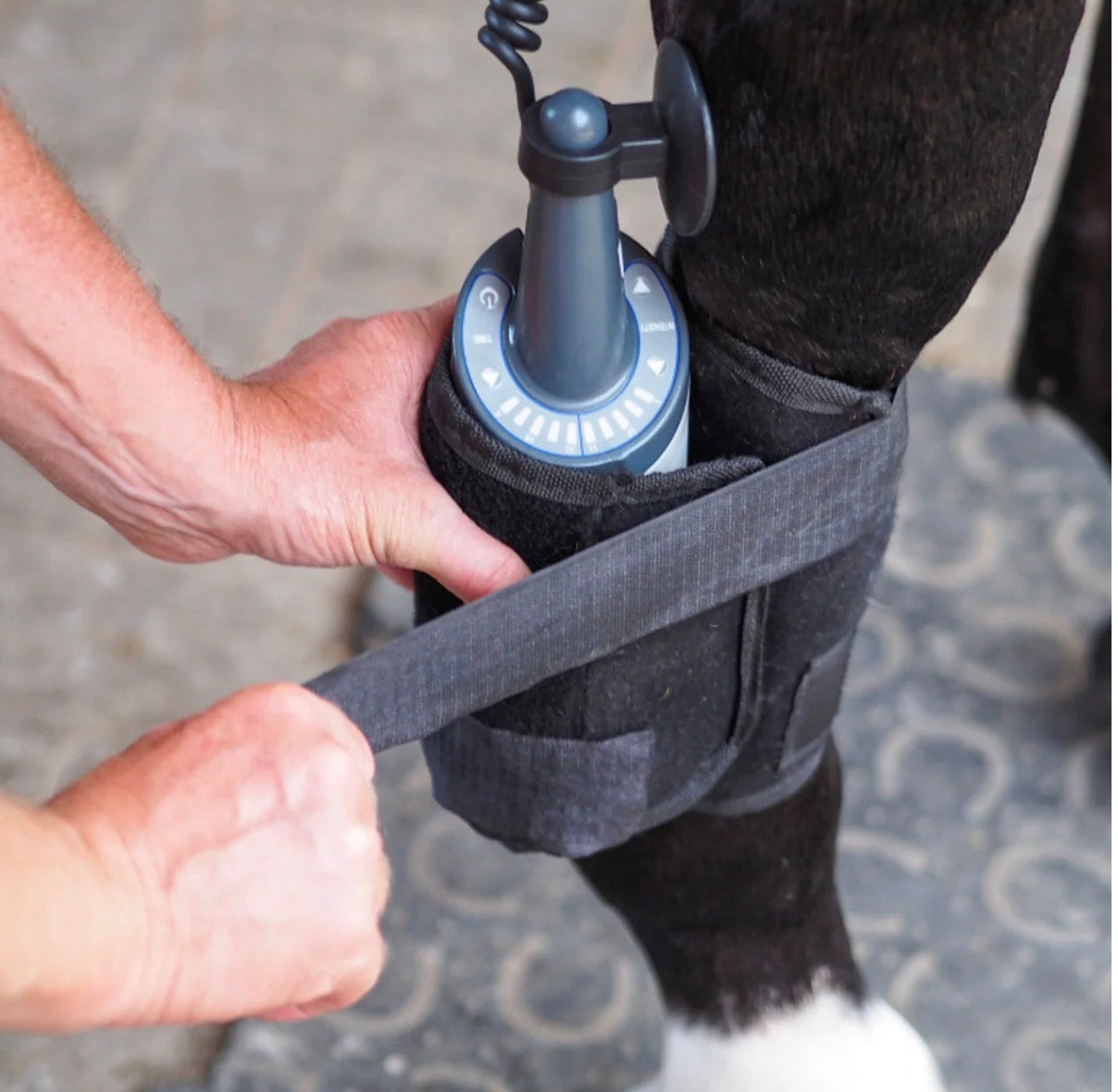 Equissage Pulse Hand Unit