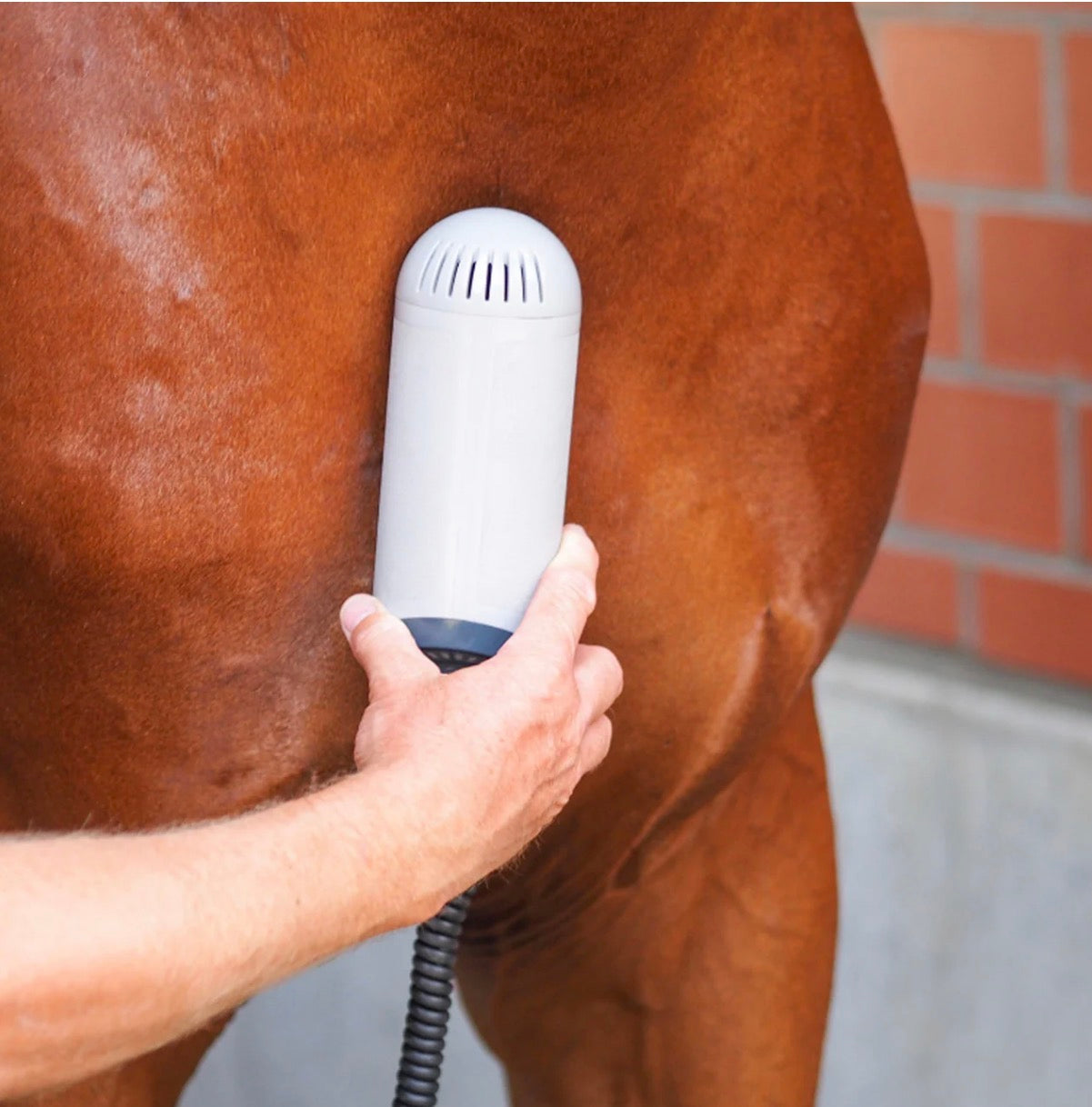 Equissage Pulse Hand Unit