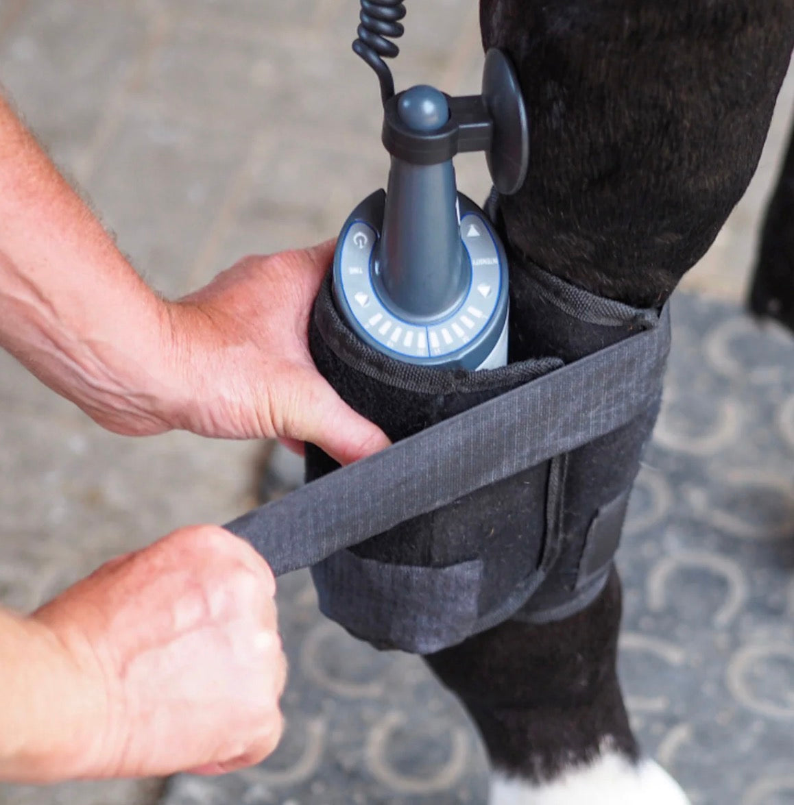 Equissage Pulse Leg Boot