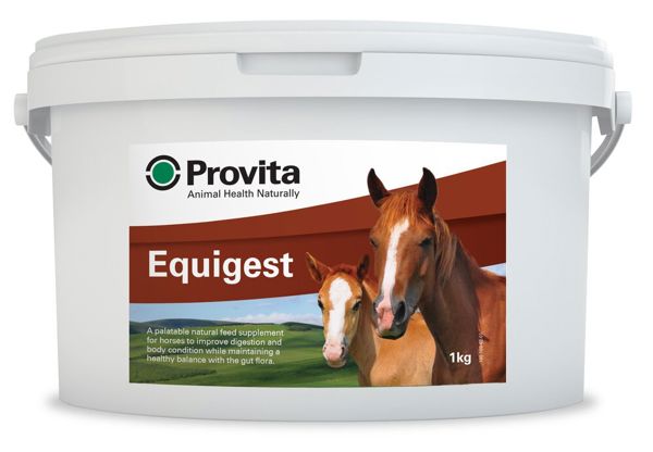 Provita Equigest