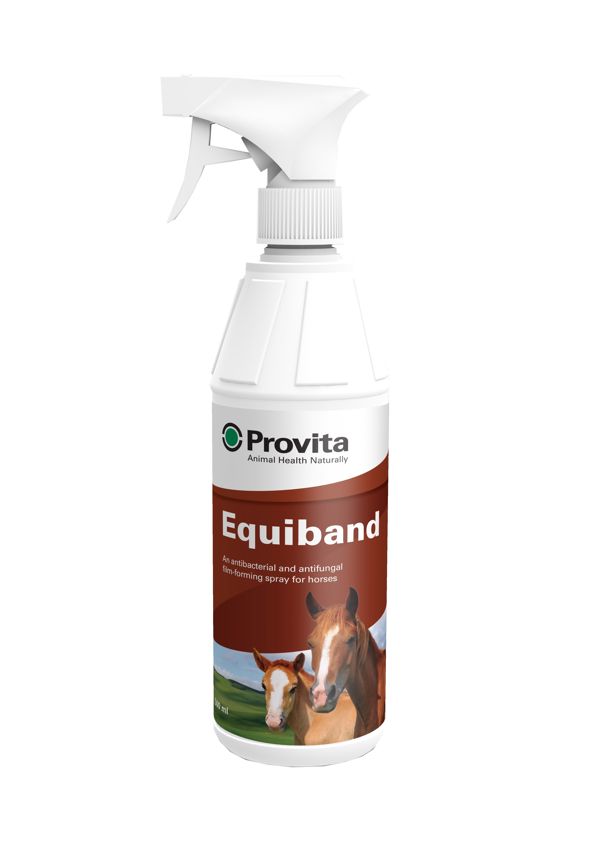 Provita Equiband