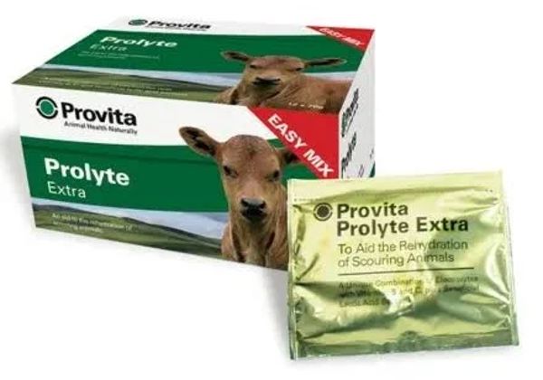 Provita Prolyte Extra 12 x 76g