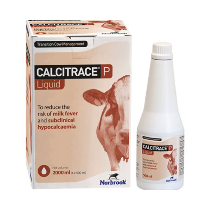 CALCITRACE P LIQUID BOX OF 4 X 500ML BOTTLES